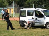 městská policie Plzeň