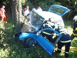 obrázek ke článku: Fiesta čelně narazila do stromu, řidič zemřel na místě