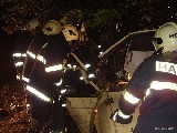obrázek ke článku: Tragická autonehoda na Brněnsku si vyžádala dva mrtvé