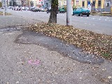 obrázek ke článku: Čtyři mrtví při dopravní nehodě v centru Hradce Králové