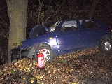 obrázek ke článku: Čelní náraz do stromu nepřežil řidič v obci Valašské Meziříčí
