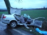 obrázek ke článku: Dopravní nehoda – na kluzké vozovce narazil do stromu u Mladkova, nepřežil