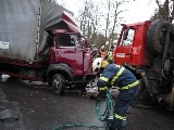 obrázek ke článku: Čelní střet dvou náklaďáků v obci Malá Morava
