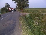 obrázek ke článku: Vozidlo se rozpůlilo o strom na Královehradecku