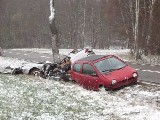 obrázek ke článku: Mladý řidič zemřel následkem dopravní nehody u Králík na Orlickoústecku 