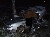 obrázek ke článku: Mladý řidič zemřel následkem dopravní nehody u Králík na Orlickoústecku 
