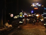 obrázek ke článku: Vozidlo přerazilo strom při dopravní nehodě, řidič zemřel
