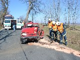 obrázek ke článku: Řidič zahynul po nárazu do stromu u Žlutic